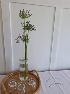 Côté West - Spacieuse Chambre d'Hôtes - Confort, Accueil personnalisé - Petit déjeuner compris - 5