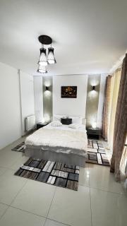 M Luxury Apartment - Timişoara - 6
