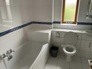 Spacious 7 Bedroom 5 Bathroom Mansion with Parking - Cardiff - 2