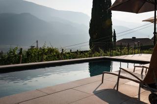 Linslhof Apt Terlaner - Terlano - 5