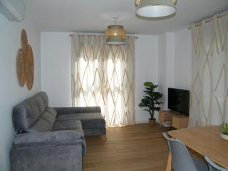 Apartamento en Playa de Gandía: 2 Dorm, Aire Acond, Piscina, Parking. Exclusivo Familias - ES-314-16 - 8