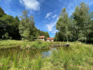 Le chalet de Nicolas - Your Nature Exclusive Retreat ! - Le Tholy - 9