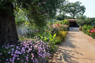 Contemporary Corfu Retreat 3 Bedrooms Villa Girasole Artful Decor Lush Garden Tranquil Setting - Dafnila - 8