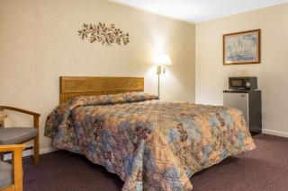 Rodeway Inn Waterford - New London - Waterford - 4