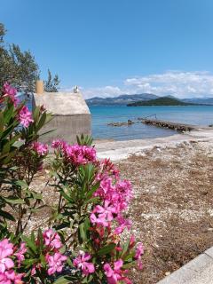 Levanat - Janjina - 2