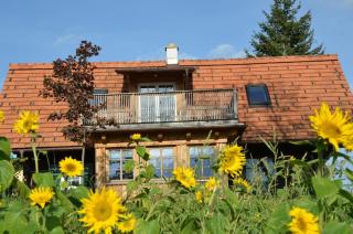 Sonniges Kellerstöckel im Schilcherland - Deutschlandsberg - 0