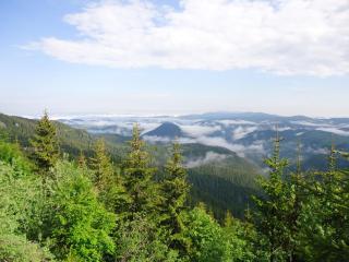 Cozy Studio in Mountain Lake Complex Smolyan Pamporovo - Smoljan - 7