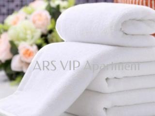 ARS VIP Apartment - Novi Sad - 3