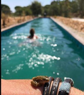 Sublim'EcoLodge Lux - 2