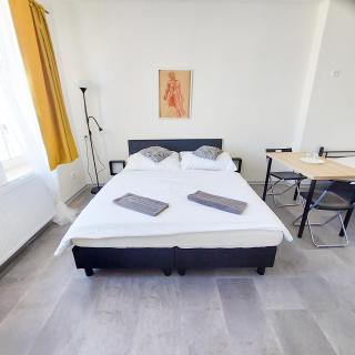 Room in the Heights R1 - Prag - 0