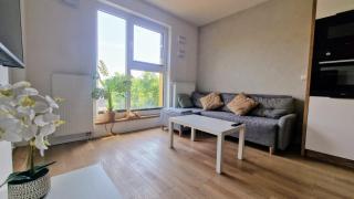 Scheibler Loft Księży Młyn FUZJA - 1