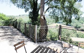 The Olive Tree - San Valentino - 9