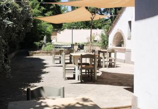 The Olive Tree - San Valentino - 4