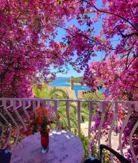 Apartments Rosso - Hvar - 7
