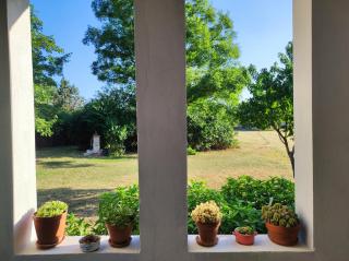 Old house - 1