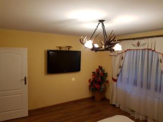Apartament Baciarski 1 ogromy z tarasem i kominkiem - Poronin - 7