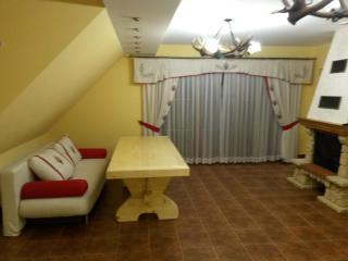 Apartament Baciarski 1 ogromy z tarasem i kominkiem - Poronin - 1