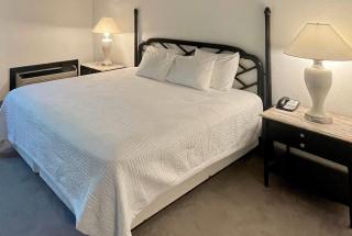 Bay Valley Resort & Conference Center - Bay City - 8