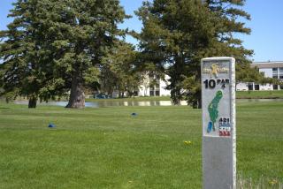 Bay Valley Resort & Conference Center - Bay City - 9