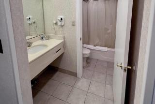 Bay Valley Resort & Conference Center - Bay City - 4