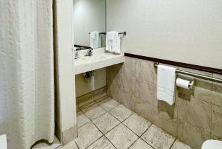 Bay Valley Resort & Conference Center - Bay City - 3