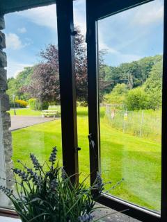 Beautiful & Quiet Countryside Setting in Kinsale - 6