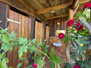 Nest - Penzlin - 1