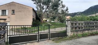 Les Eucalyptus - 1