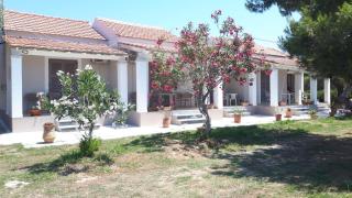 E & K Sea View Apartments Urlaub mit Ausblick Entspannung direkt am Meer - Agios Georgios - 8
