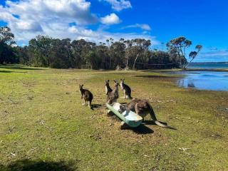 Tarra - Waterfront Retreat - 7