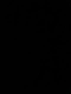 Nyasa Ocean View - Durban - 0