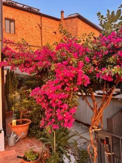 Casa di Gio - Grosseto - 5