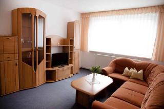 Apartments in Friedrichsbrunn - Harz 36777 - Friedrichsbrunn - 8