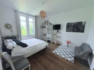 Magnificent Bourgeois Residence on Wooded Estate - Charleville-Mézières - 7
