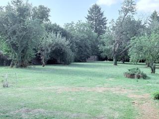 Magnificent Bourgeois Residence on Wooded Estate - Charleville-Mézières - 6