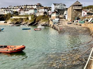 Seascape - New Quay - 0