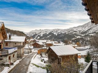 Chalet moderne avec parking et wifi, à proximité des pistes et commerces - FR-1-566-20 - Les Allues - 1
