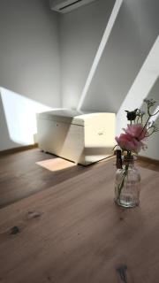 New boutique apartments house Gabrijela Mrak in old Tolmin - 1