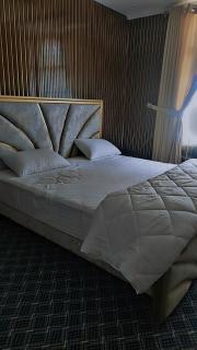 Dream Palace Hotel Rakaposhi Nagar - - 8
