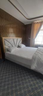 Dream Palace Hotel Rakaposhi Nagar - - 3