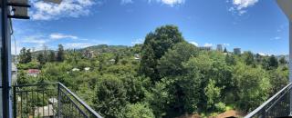 Mirza Guesthouse - 1