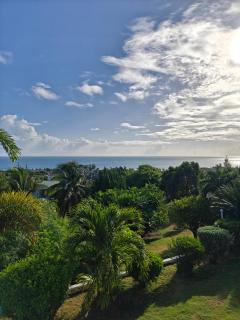 LaBelleVue Antigua Oceanview Suites and OnSite Car Rentals - Crosbies - 0