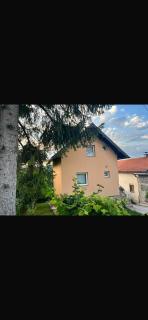 Anelora House - Gladno Polje - 9