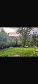 Anelora House - Gladno Polje - 6