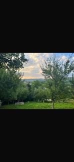 Anelora House - Gladno Polje - 7