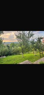 Anelora House - Gladno Polje - 4