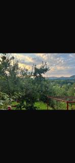 Anelora House - Gladno Polje - 5