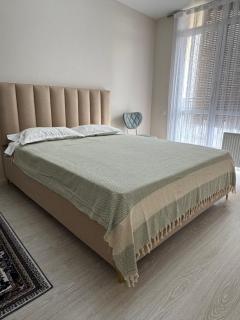Просторная однокомнатная квартира ЖК Alem City - Almaty - 0