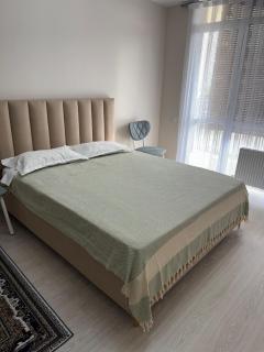 Просторная однокомнатная квартира ЖК Alem City - Almaty - 7