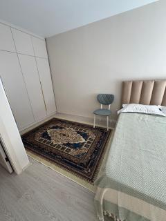 Просторная однокомнатная квартира ЖК Alem City - Almaty - 3